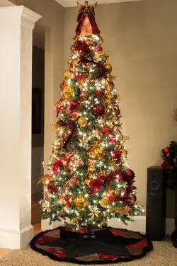 $IMG_0481.webp