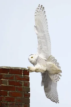 $_SNO0855-2.webp