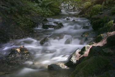 $IMG_00015793aresize.webp $IMG_00015793aresize.webp