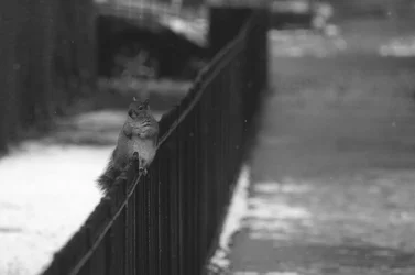 $EAMArtPHOTO031.webp $EAMArtPHOTO031.webp