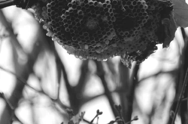 $EAMArtPHOTO032.webp $EAMArtPHOTO032.webp