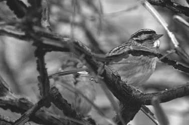 $EAMArtPHOTO033.webp $EAMArtPHOTO033.webp