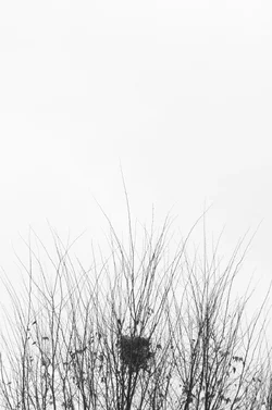 $EAMArtPHOTO034.webp $EAMArtPHOTO034.webp