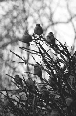 $EAMArtPHOTO035.webp $EAMArtPHOTO035.webp