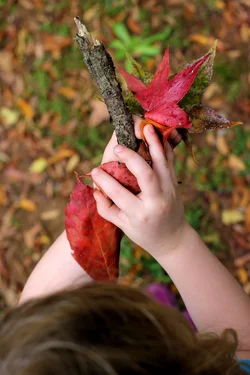 $Finding the Pretty Leaves.webp