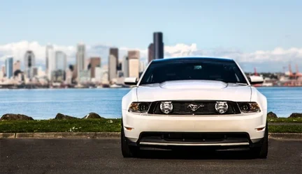 $mustang.webp