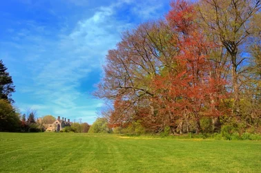 $DSC_0042_3_4_tonemapped.webp