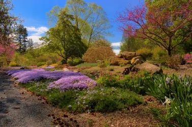 $DSC_0048_49_50_tonemapped.webp
