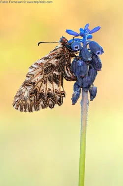 $_DSC2405.webp $_DSC2405.webp