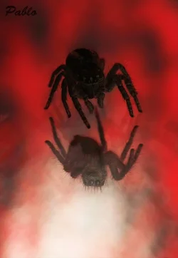 $Spider art.webp $Spider art.webp
