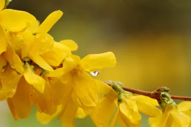 $Spring rain_120422_5802_small.webp $Spring rain_120422_5802_small.webp