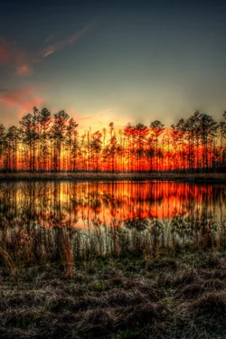 $HDR Photo 3.1001.webp