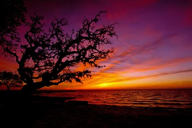 $OBX New Years 2001 149 elementsA.webp
