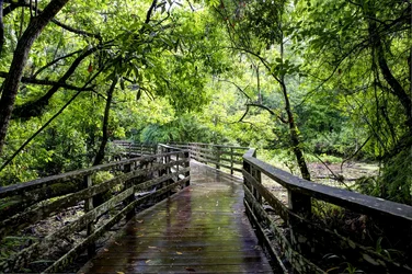 $Boardwalk.webp