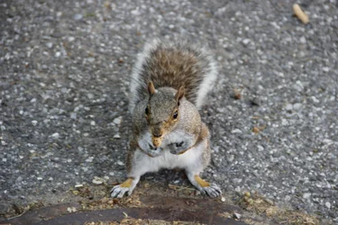 $_MG_3132.webp