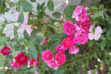 $IMG_0047.webp