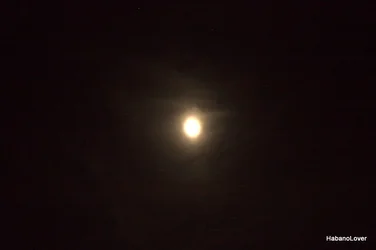 $IMG_1886.webp