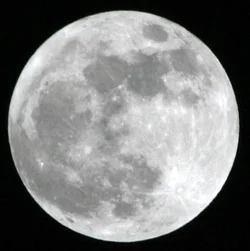 $IMG_3183 cropped.webp $IMG_3183 cropped.webp