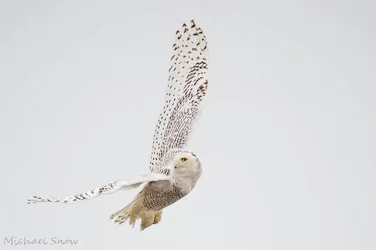 $_SNO1391-3.webp