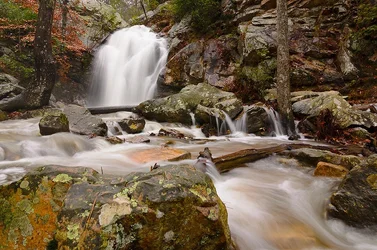 $Peavine Falls 2 critique.webp