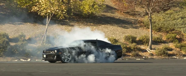 $_MG_7834.webp
