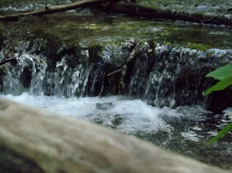 $Waterfall.webp