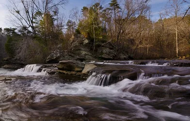 $Turkey Creek 3 Web critique.webp