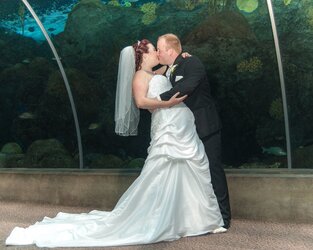 $aquariumwedding.jpg