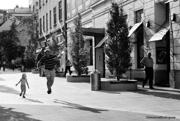 $Day 220 - Hopping.webp $Day 220 - Hopping.webp