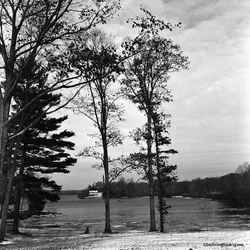 $Day 363 - House on river.webp $Day 363 - House on river.webp