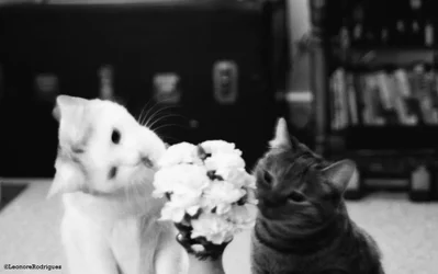 $Day 166 - the girls sniffing flowers.webp $Day 166 - the girls sniffing flowers.webp