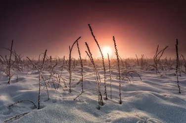 $_MG_4485-Edit_zpsaee683ec.webp $_MG_4485-Edit_zpsaee683ec.webp