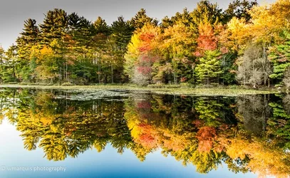$fall_clarkpond-0062.webp