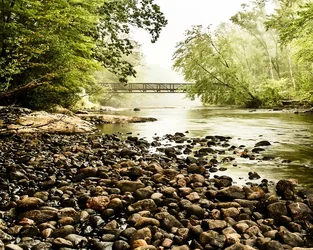 $foggy piscataqua-9848-Edit.webp