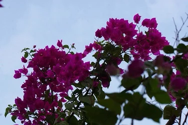 $IMG_1107.webp