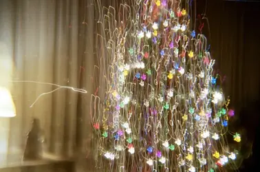 $Christmas Tree.webp
