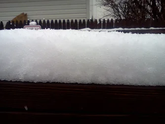 $2013-12-10 Snow (1).webp