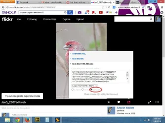 $Screenshot (6).webp $Screenshot (6).webp