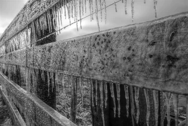 $frozen_by_samspade1941-d716vwu.webp