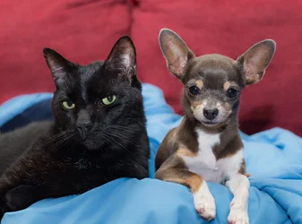 $carl and candy sept 23_2013.webp $carl and candy sept 23_2013.webp
