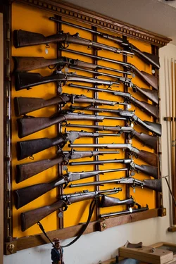 $guns-4.webp $guns-4.webp