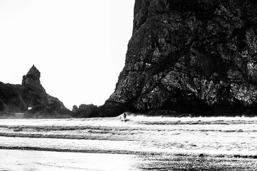 $surfer BW.webp