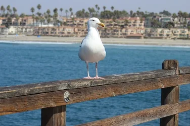 $IMG_1608.webp