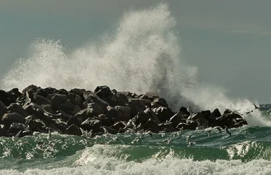 $Wind,-Wocks,-Waves-and-Wirds.webp