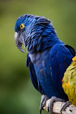 $_MG_6644.webp