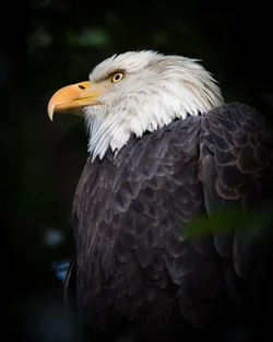 $_MG_6717.webp