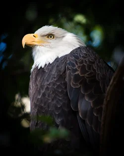 $_MG_6720.webp