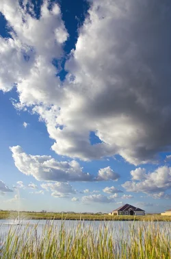 $Big Sky.webp