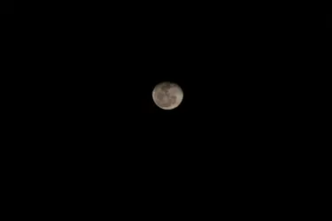 $IMG_1455.webp $IMG_1455.webp