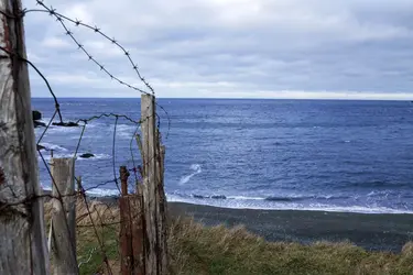 $middle cove beach.webp